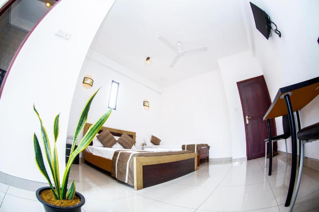 Hotel Blue Bird Негомбо Экстерьер фото