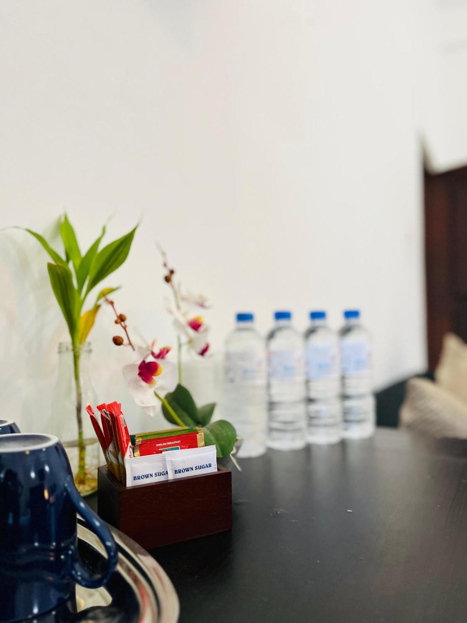 Hotel Blue Bird Негомбо Экстерьер фото